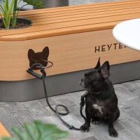 14755e38e7125cf6be81499df00bb6fe